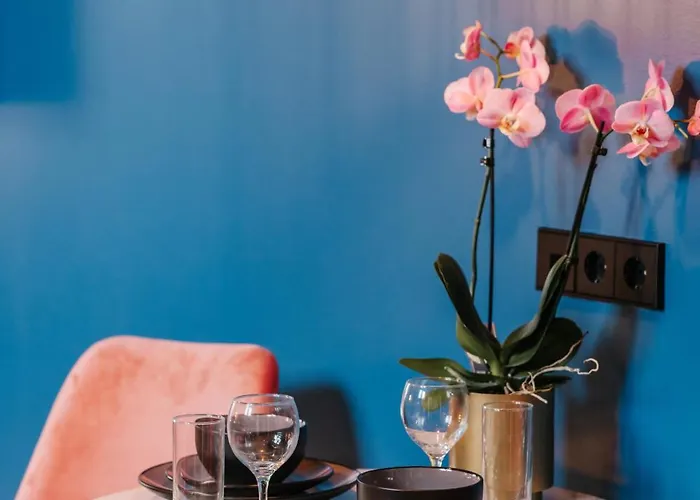 凯乌尔酒店 酒店 赞德沃特