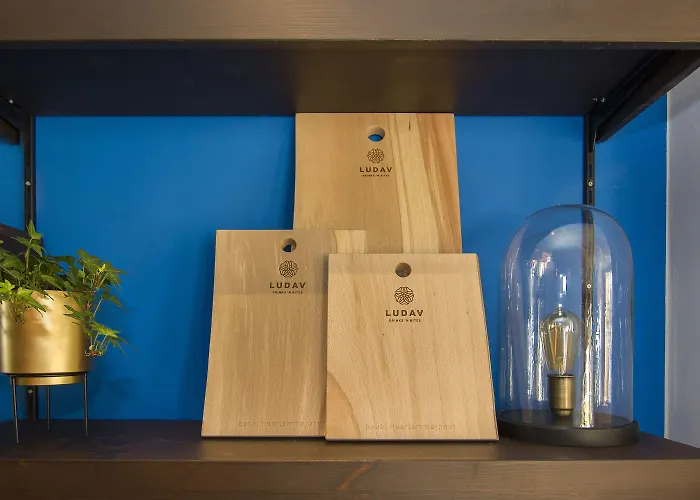 凯乌尔酒店 酒店 赞德沃特